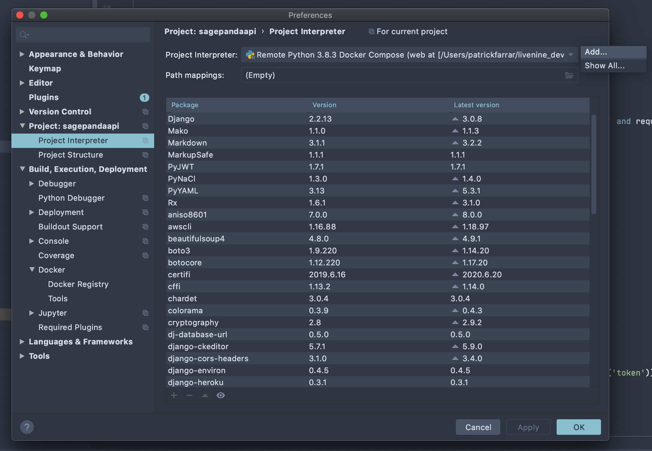 Add Project Interpreter